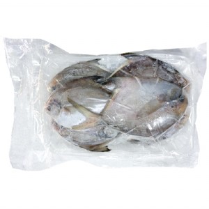 小银鲳鱼新鲜海鲜 冷冻白鲳鱼 霞浦县海津食品有限公司